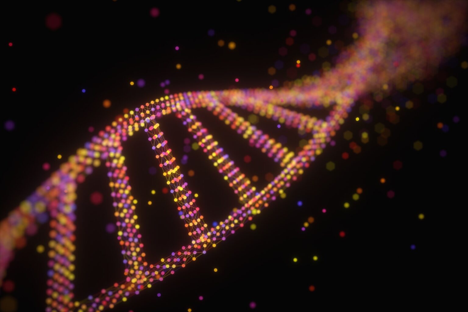 DNA Molecule Structure